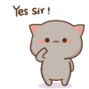 Heyy cigemoy 8