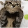 Mix of memes for the kids 18