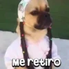 Peyitos Animados🐶💫 8