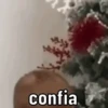 ME REPRESENTAM  10