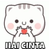 PENTOL BUCIIN  13