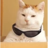 GATOS CURA DEPRESIÓN🙀💕Animados 5