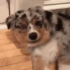 Random Mov 2 18