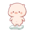 Lucu babi 12