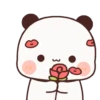 Panda uwwu 16