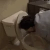 Funny Animated 14