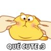 Michi Gordo :3🐱💖 6