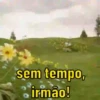 PRA TIRAR DO SÉRIO? 12