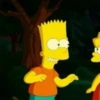 Simpson 15