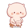 Lucu babi 14