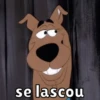 EXPRESSÕES SINCERAS  14