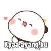 Panda gendut 10
