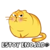 Michi Gordo :3🐱💖 7