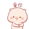 Lucu babi 13