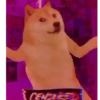 Viral memes 7