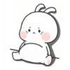 Bunny baby 15