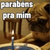 MEMES E REAÇÕES 13