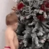 Нежные дети 11