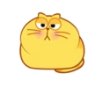 Michi Gordo :3🐱💖 18