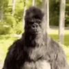 Animales Funny🌈⭐ 10