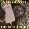 GATOS SENDO GATOS 😸 11