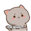 Cute peach cat 10