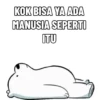 WBB UWU 2 7
