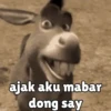 Shrek tengil 16
