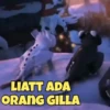 Cute dragons 13