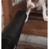 анимация для вас 7