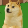 MEME PRA TUDO 8