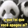 Memes de pets 16