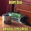 GATOS SENDO GATOS 😸 8