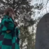 बंदर 7