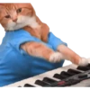 FUNNY memes (Without bg) 14
