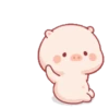 Lucu babi 10