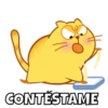 Michi Gordo :3🐱💖 5