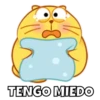 Michi Gordo :3🐱💖 13