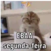 Explosão de fofura 💕 14