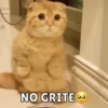 Memes pt.3 6