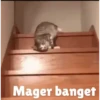 Animasi kucing 13