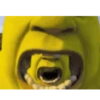 Shrek tengil 8