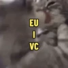 Gosta de alguém? usa essas aq 12