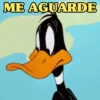 PATOLINO SINCERO 🦆 14