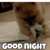 Funny memes 12