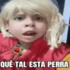 🐨Animados para Responder🗣 6