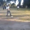 Animaditos Divertidos 3🤩🤪 8