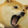 Trending Memes 15