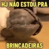 GATOS SENDO GATOS 😸 6