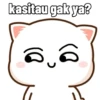 Peach Cat (3) 9